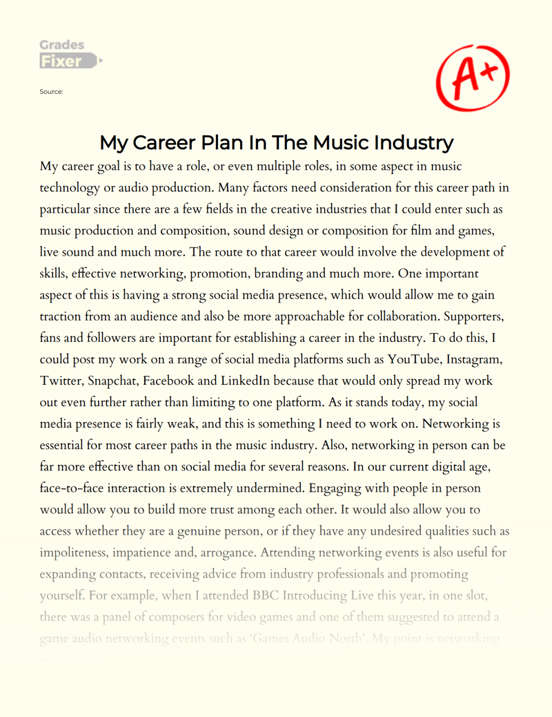 My Career Plan in The Music Industry Essay