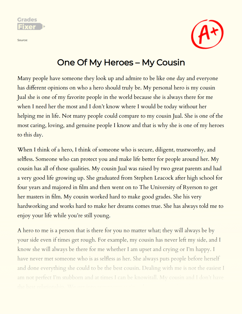 One of My Heroes – My Cousin Essay