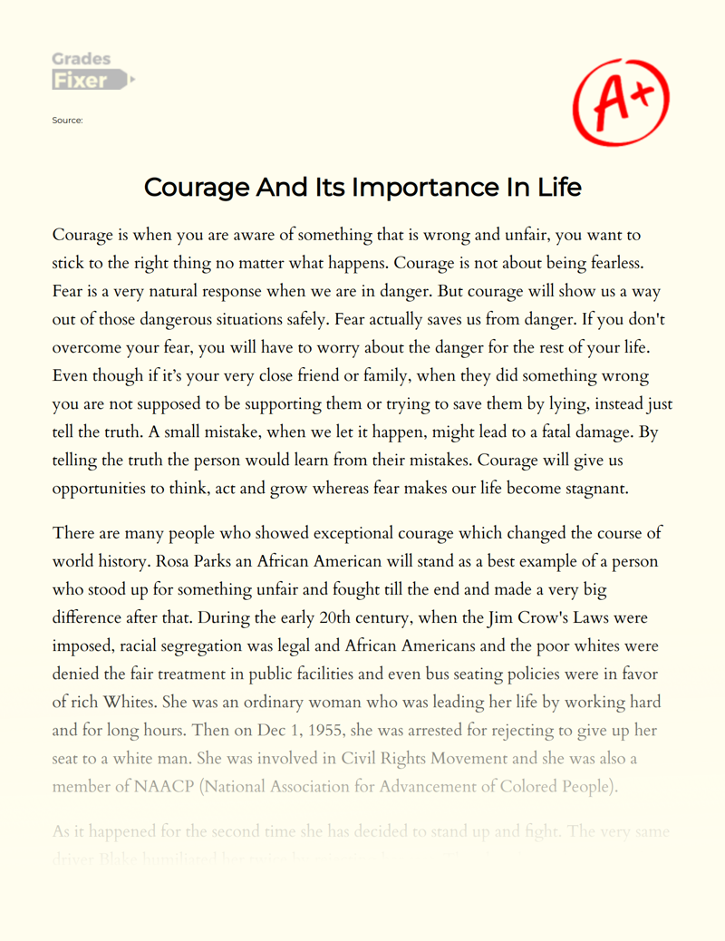 Understanding The Importance of Courage in Life Essay