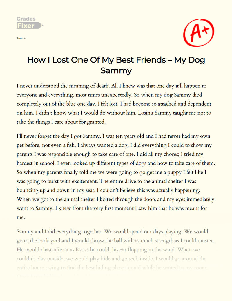 How I Lost One Of My Best Friends – My Dog Sammy: [Essay Example], 766  words GradesFixer