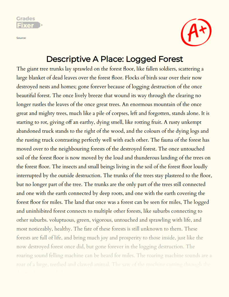 Descriptive a Place: Logged Forest Essay