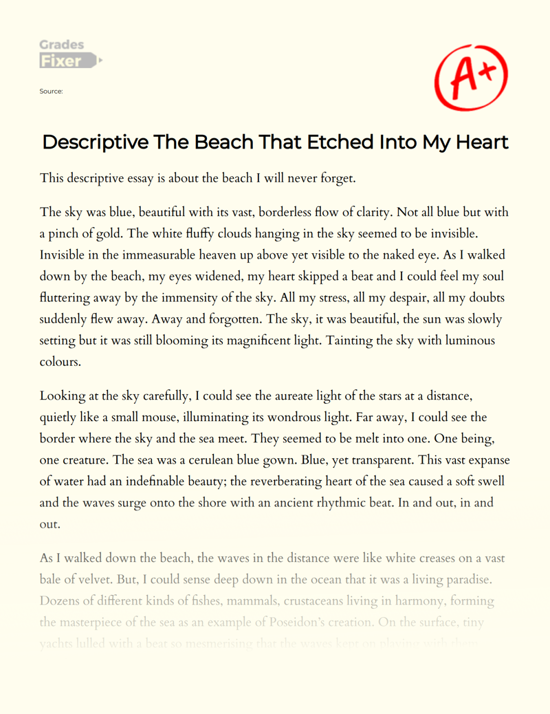 essay describe a beach