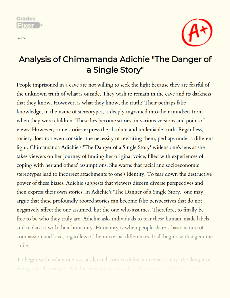 Analysis of Chimamanda Adichie "The Danger of a Single Story" Essay