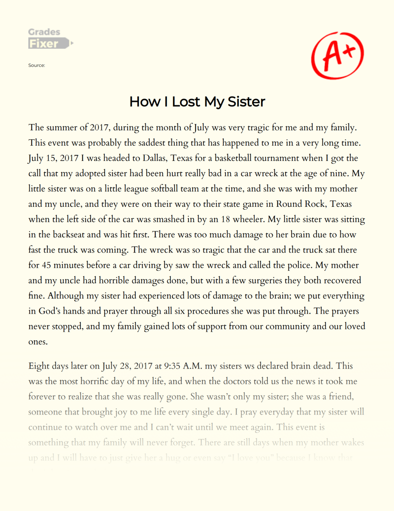 How I Lost My Sister Essay
