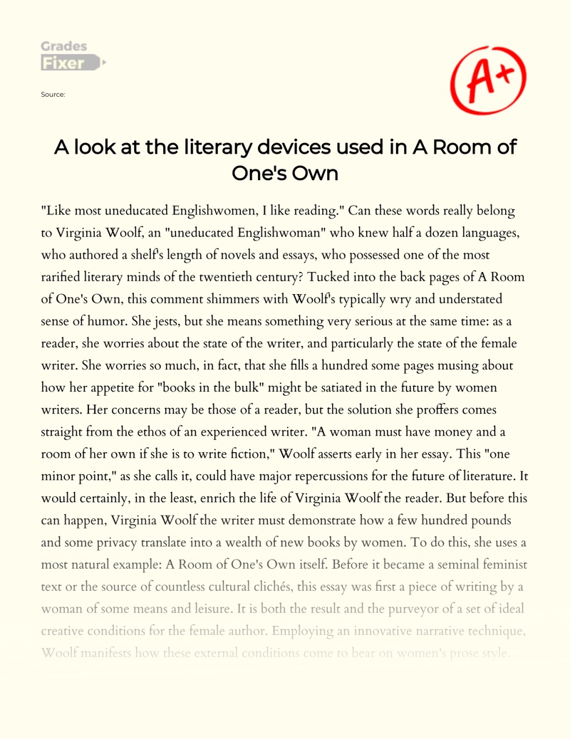 A Look at The Literary Devices Used in a Room of One's Own Essay