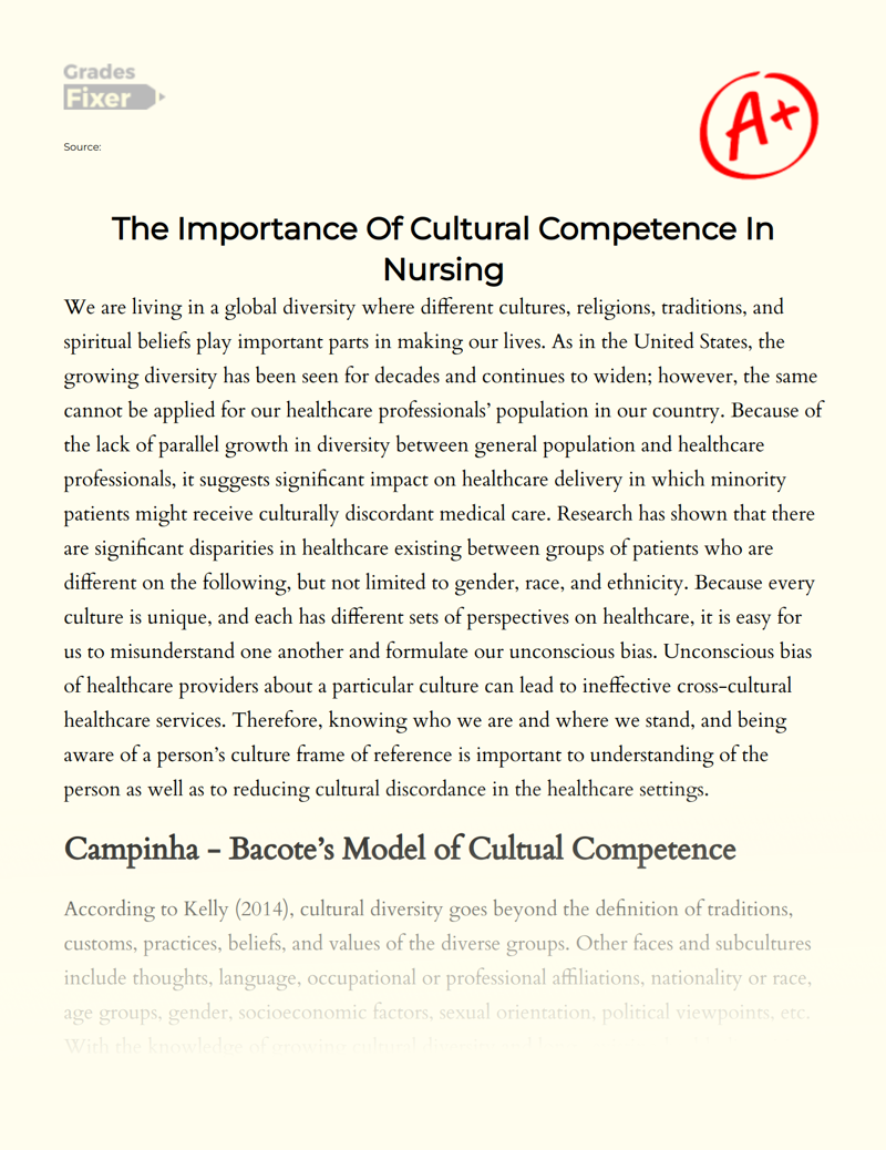 The Importance of Cultural Competence in Nursing Essay