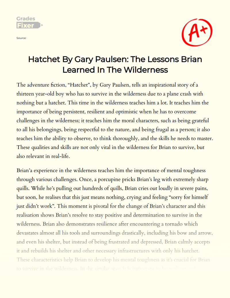 Hatchet by Gary Paulsen: The Lessons Brian Learned in The Wilderness Essay
