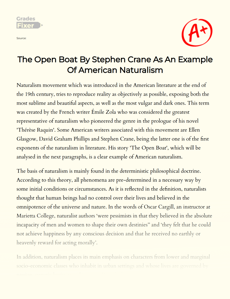 The Open Boat by Stephen Crane as an Example of American Naturalism Essay