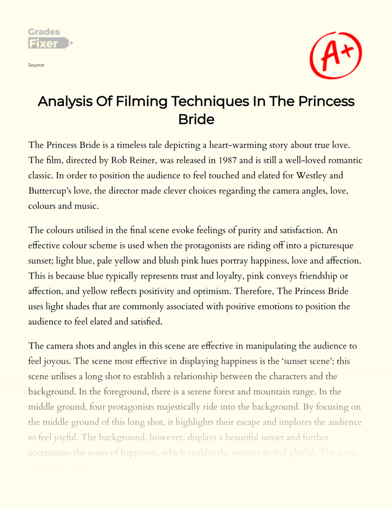 Analysis of Filming Techniques in The Princess Bride Essay