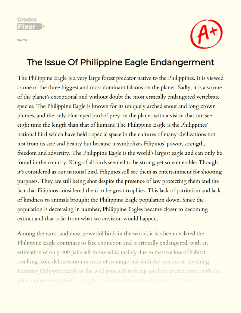 The Issue of Philippine Eagle Endangerment Essay