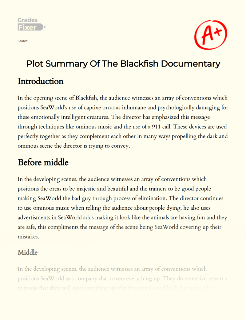 Plot Summary of The Blackfish Documentary Essay