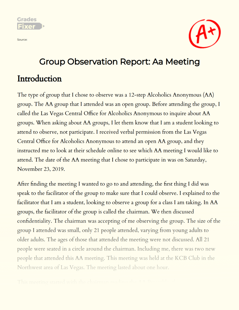 Group Observation Report: Aa Meeting Essay