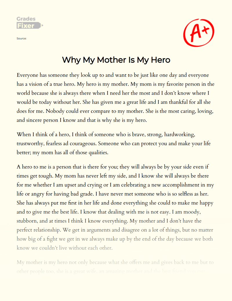 Why My Mother is My Hero Essay