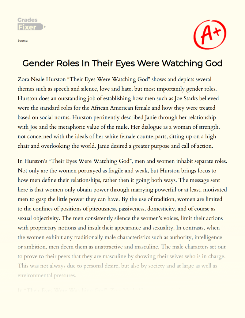 Gender Roles in Their Eyes Were Watching God Essay