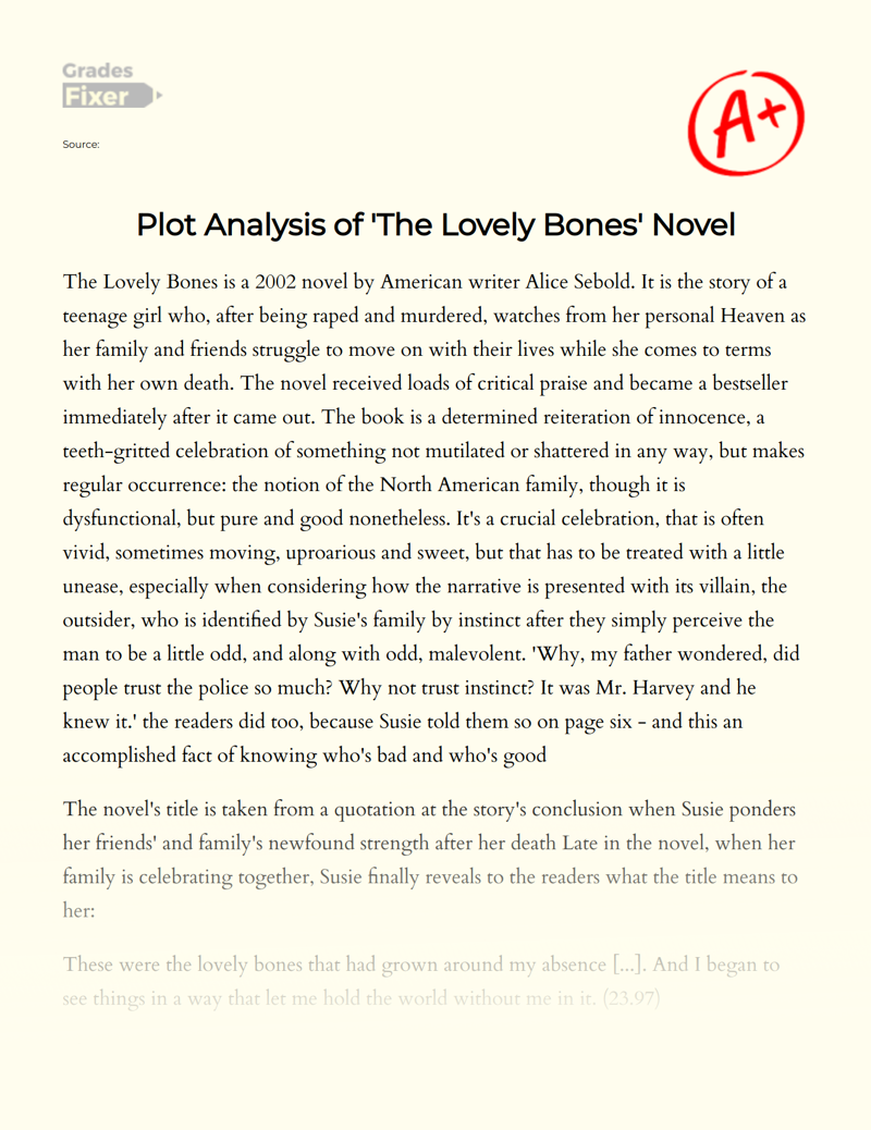 Plot Analysis of 'The Lovely Bones' Novel Essay