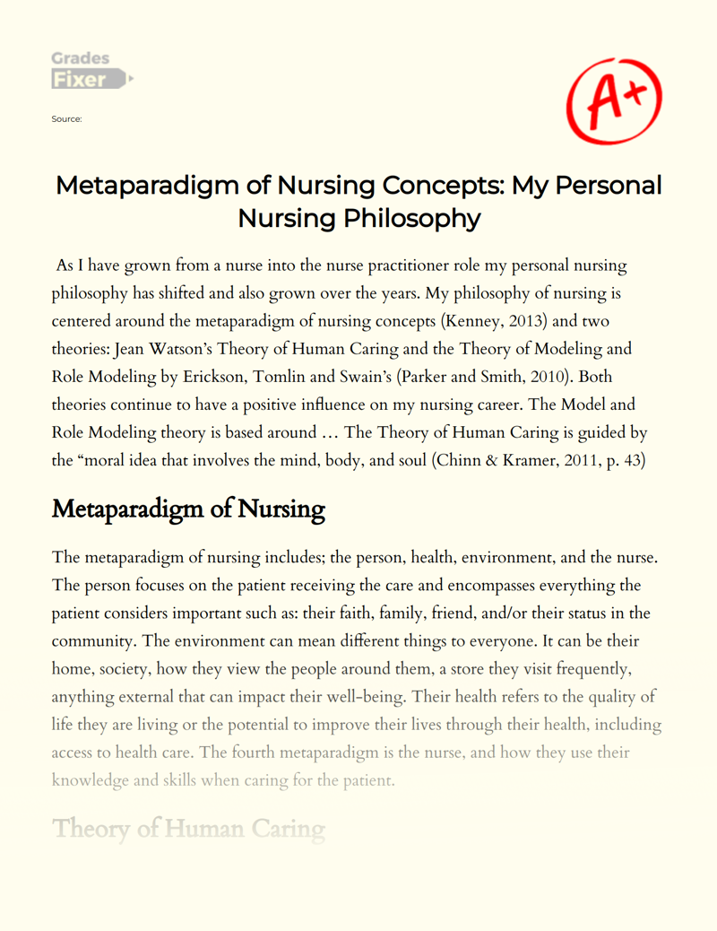 Metaparadigm of Nursing Concepts: My Personal Nursing Philosophy Essay
