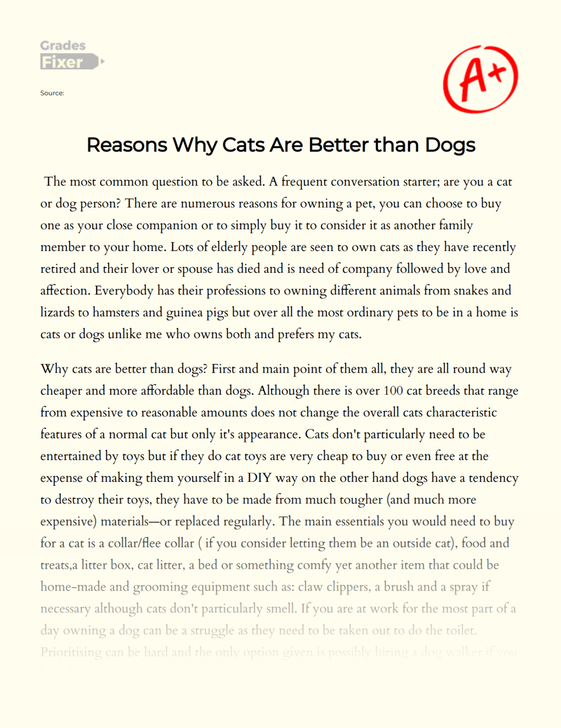Reasons Why Cats Are Better than Dogs Essay