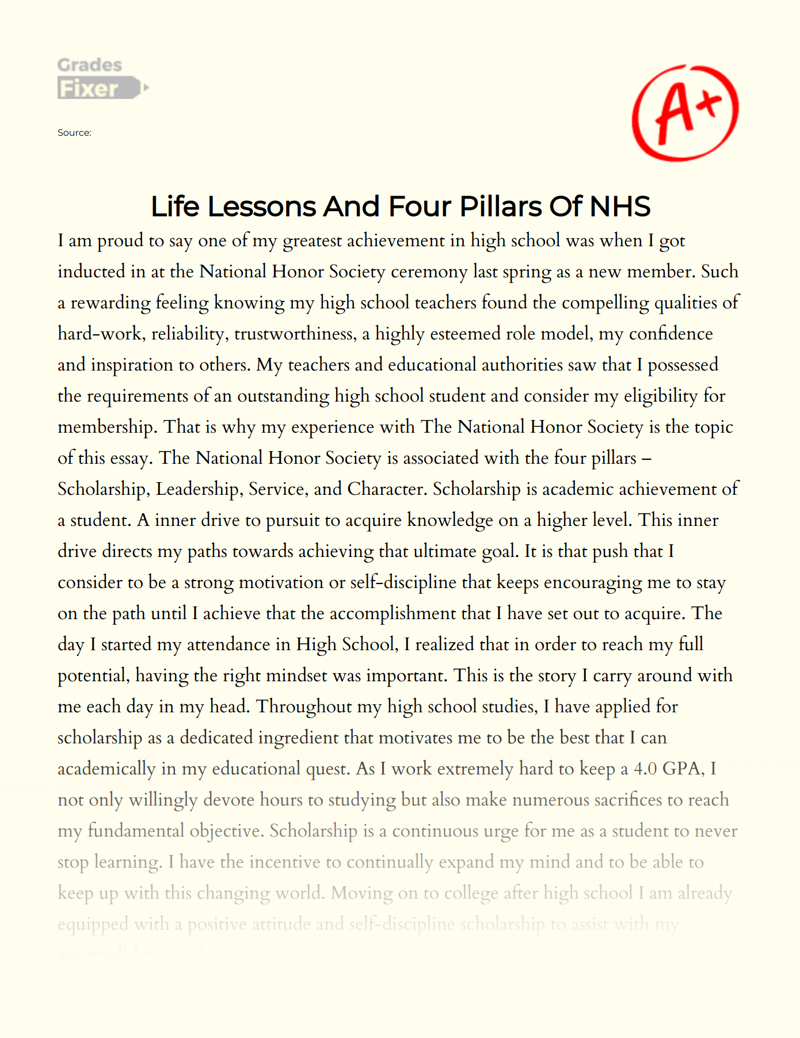 Life Lessons and Four Pillars of Nhs Essay