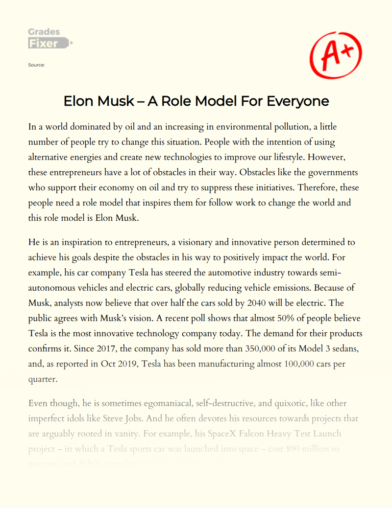 Elon Musk – a Role Model for Everyone Essay