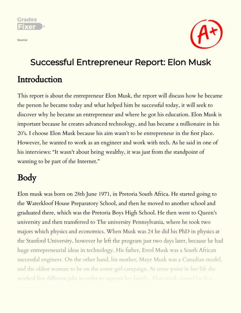 Successful Entrepreneur Report: Elon Musk Essay