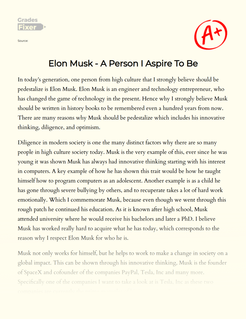Elon Musk - a Person I Aspire to Be Essay