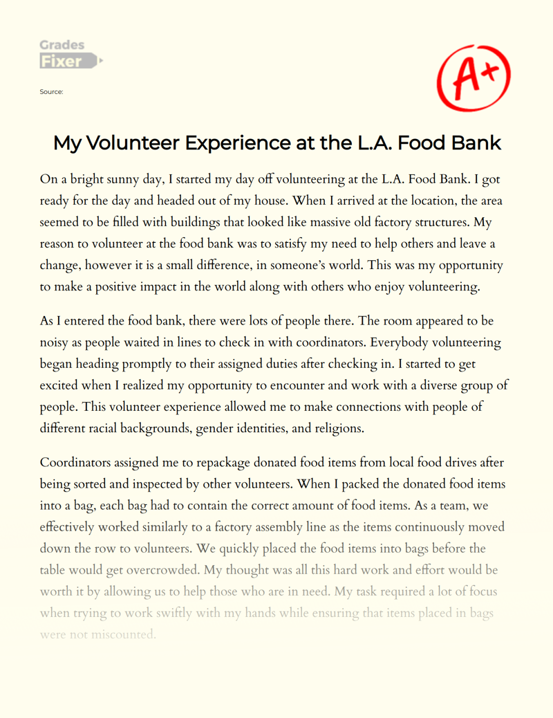 My Volunteer Experience at The L.a. Food Bank Essay