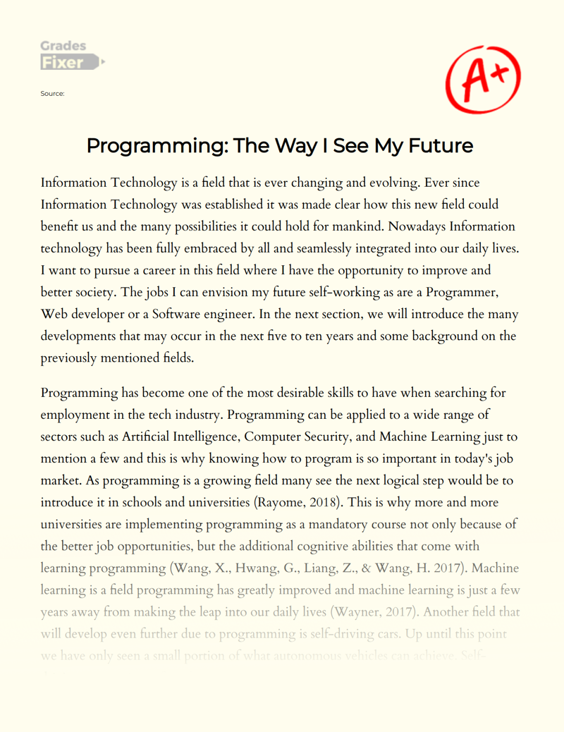 Programming: The Way I See My Future  Essay