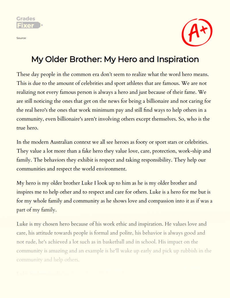 My Older Brother: My Hero and Inspiration Essay