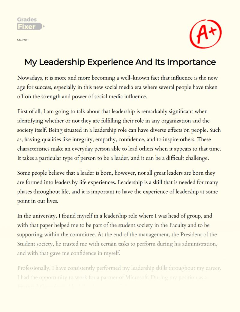 My Leadership Experience and Its Importance Essay
