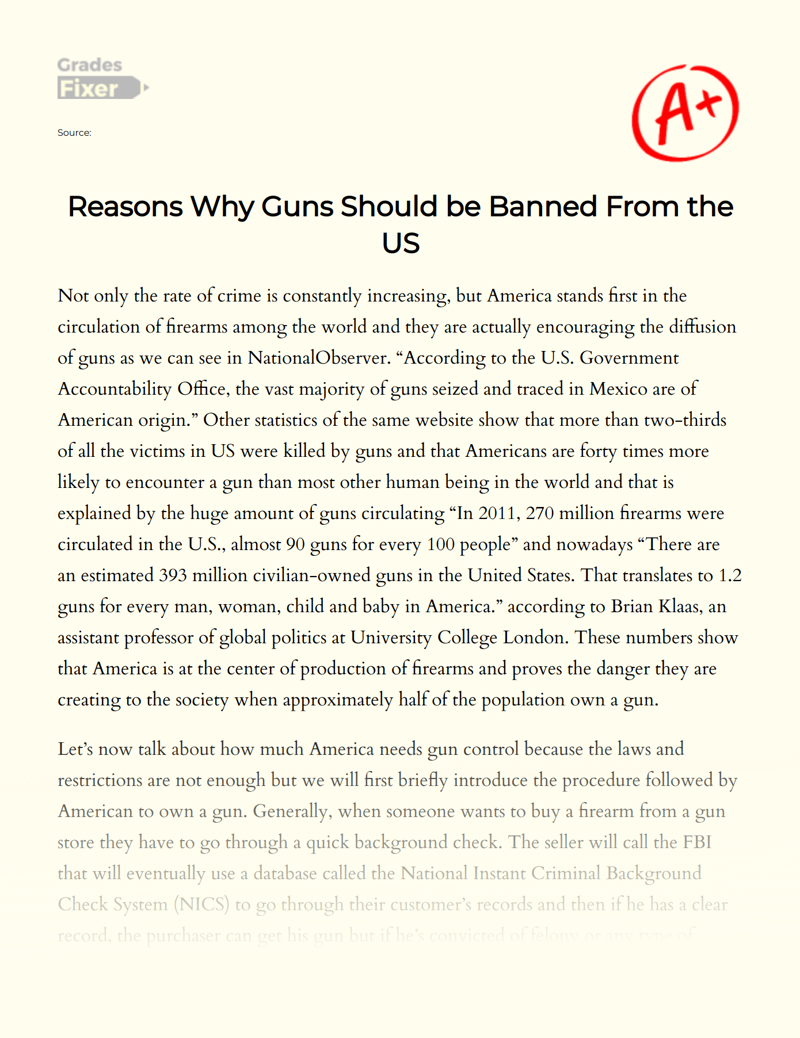 Reasons Why Guns Should Be Banned from The Us Essay