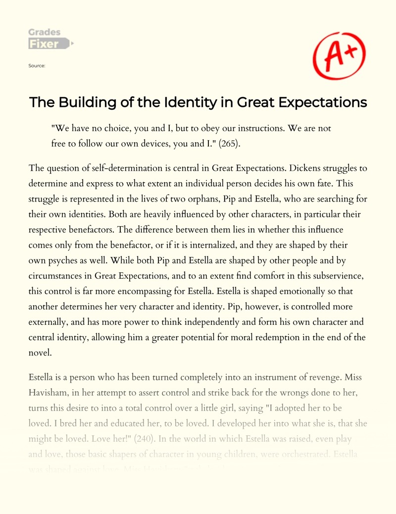 The Building of The Identity in Great Expectations Essay