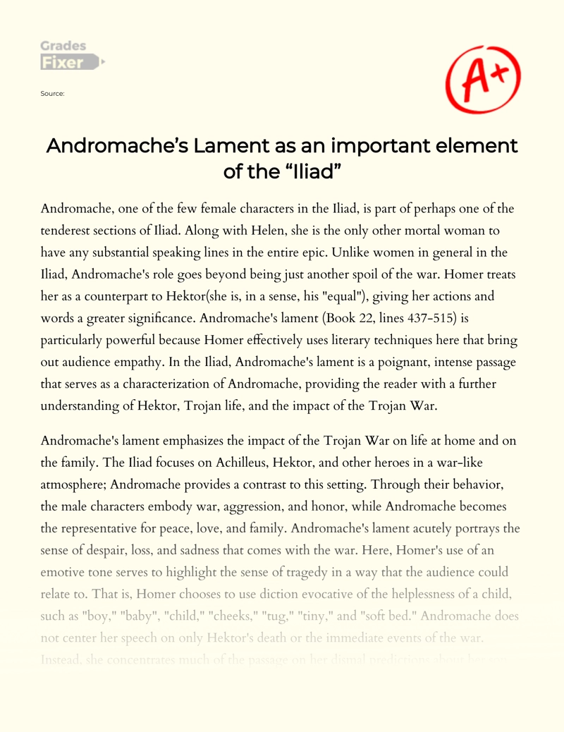 Andromache’s Lament as an Important Element of The "Iliad" essay