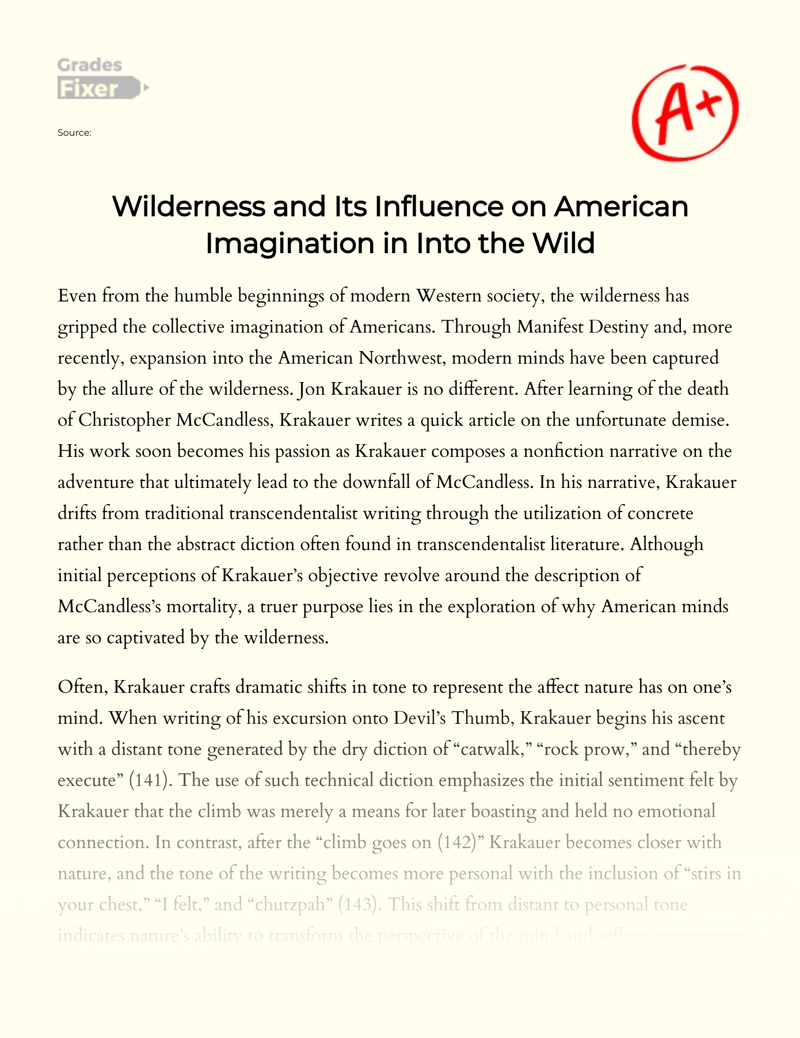 Wilderness and Its Influence on American Imagination in "Into The Wild" essay