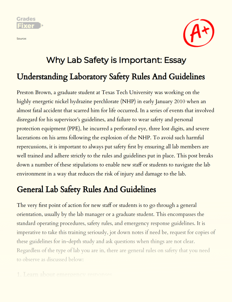Why Lab Safety is Important: Responsibility and Protection Rules Essay