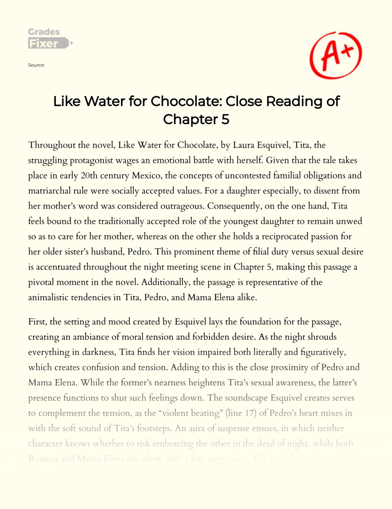 Like Water for Chocolate: Close Reading of Chapter 5 essay