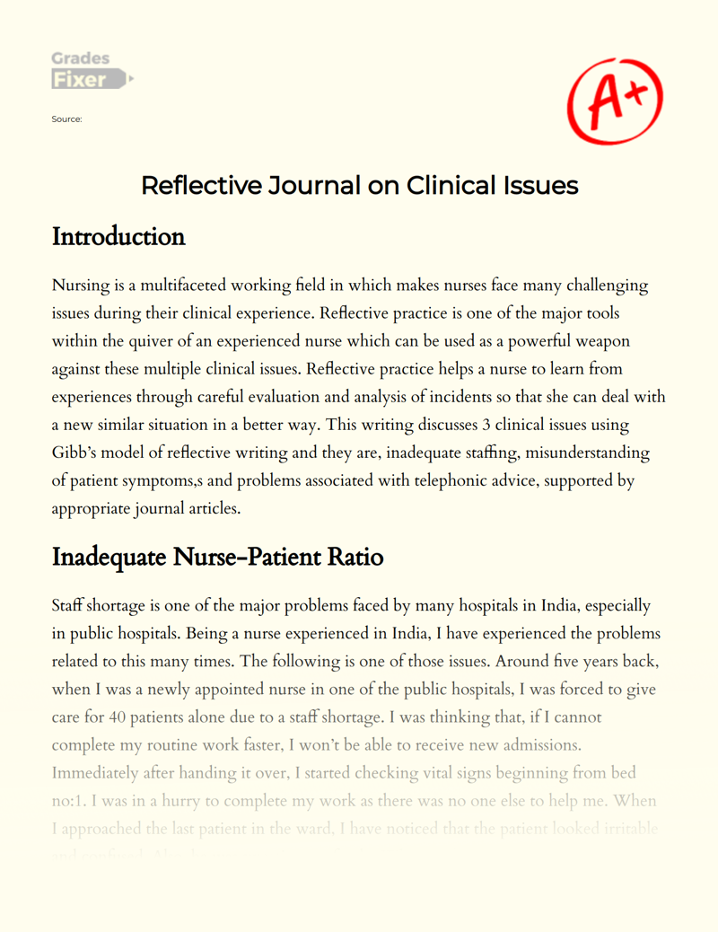Reflective Journal on Clinical Issues Essay