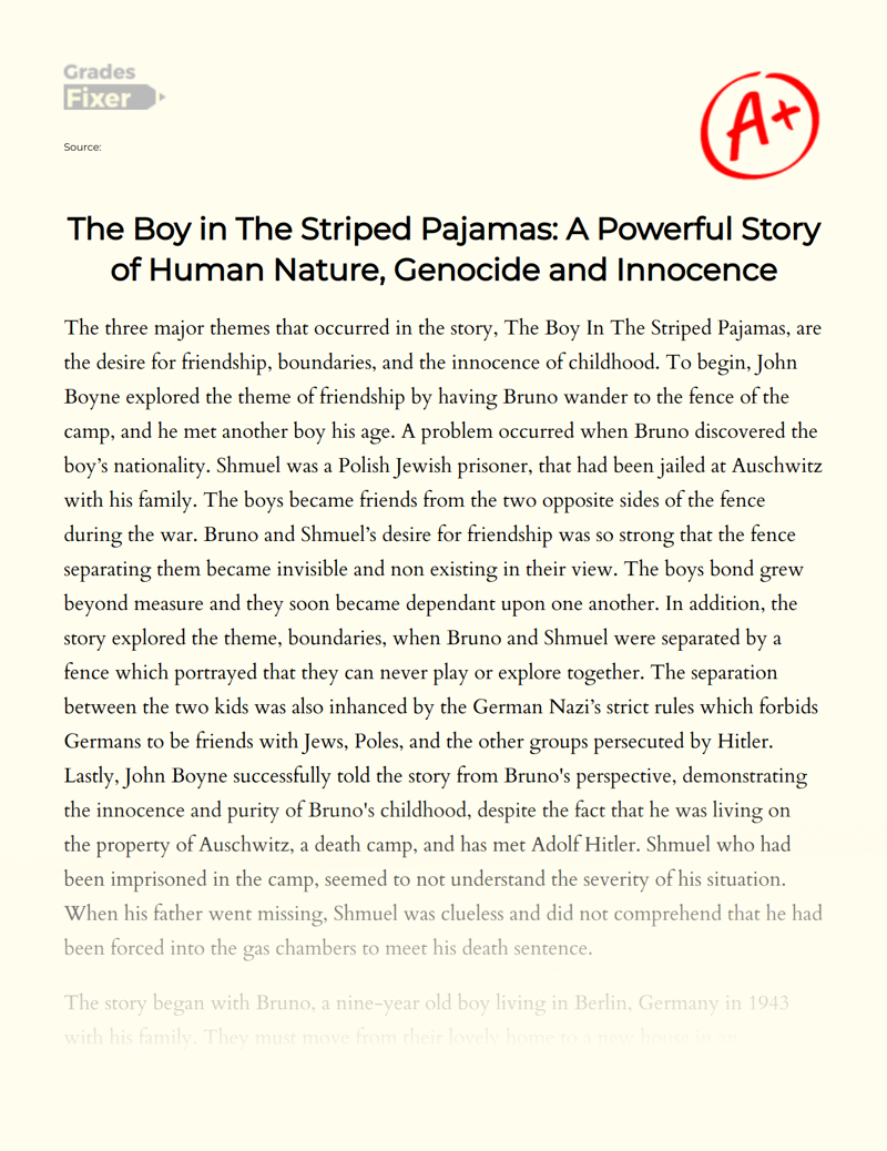 The Boy in The Striped Pajamas: a Powerful Story of Human Nature, Genocide and Innocence Essay