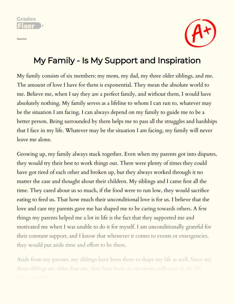 My Family - is My Support and Inspiration Essay