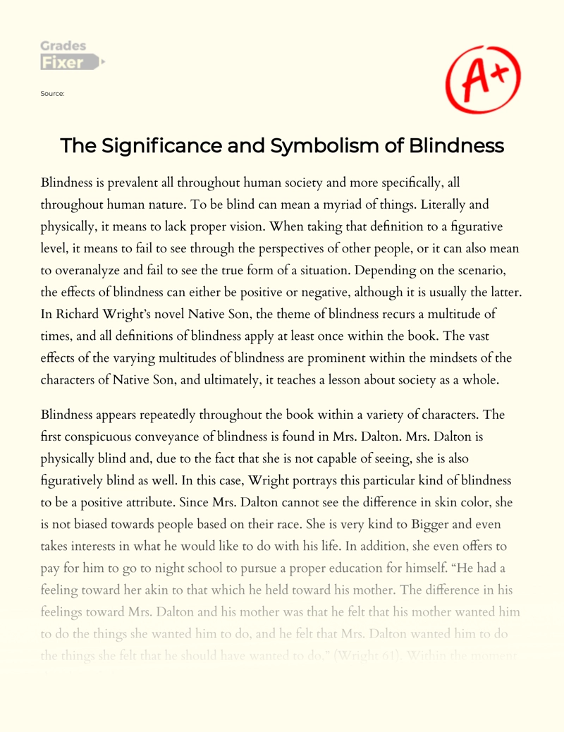 The Significance and Symbolism of Blindness essay