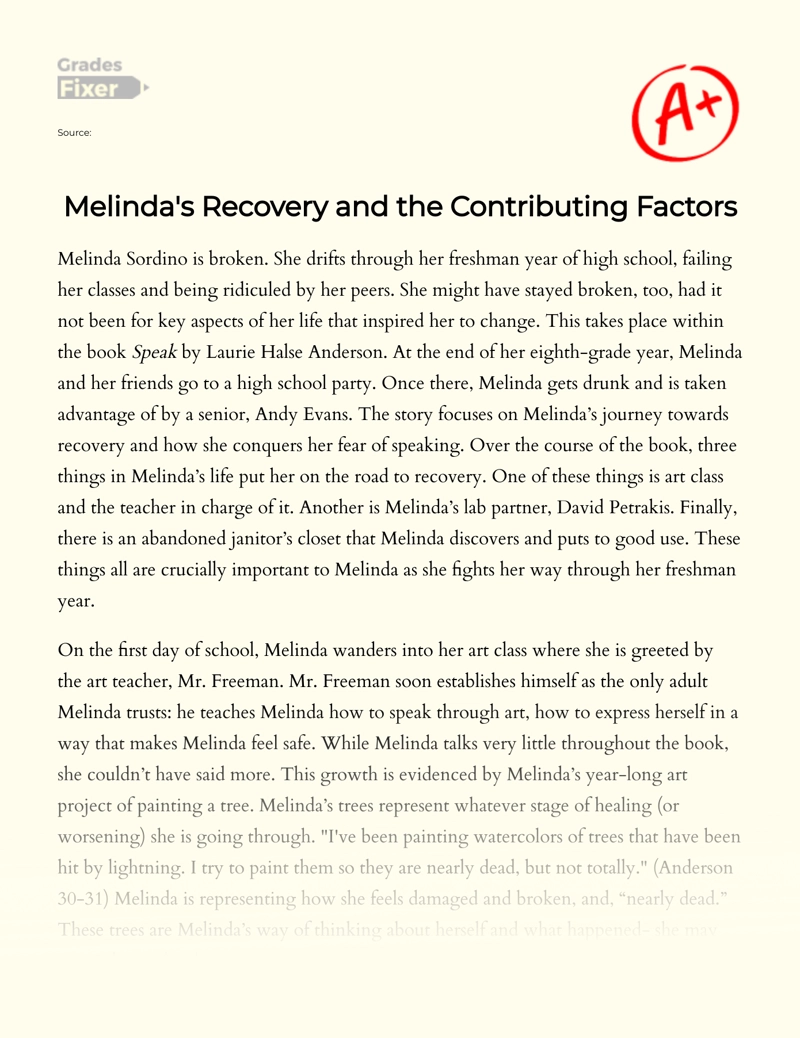 Melinda's Recovery and The Contributing Factors Essay
