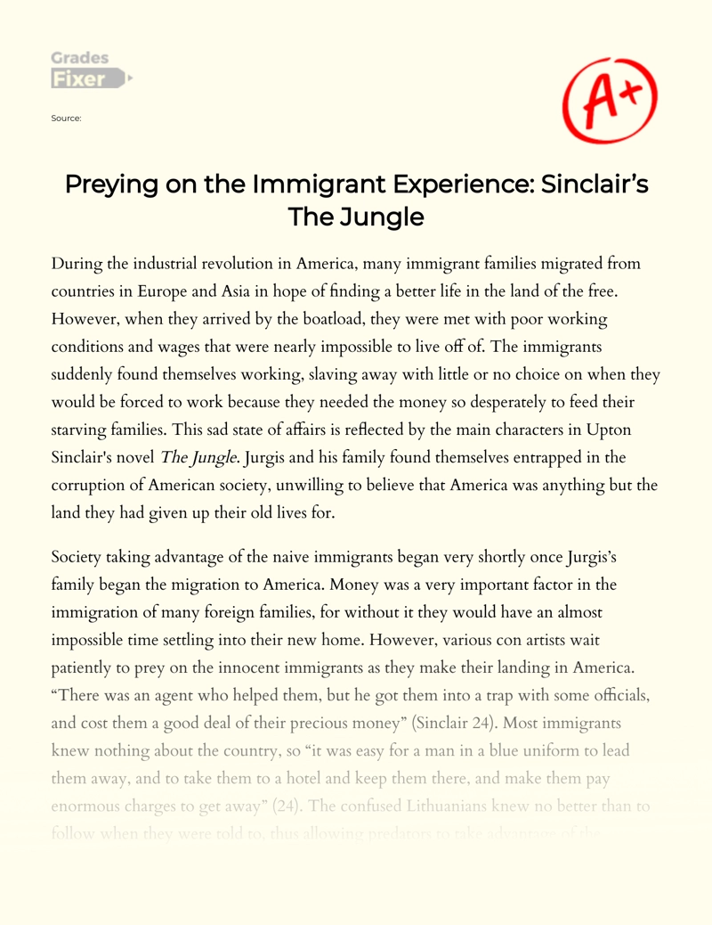Taking Advantage of The Experience of Immigrants Situations as Depicted in The Jungle essay