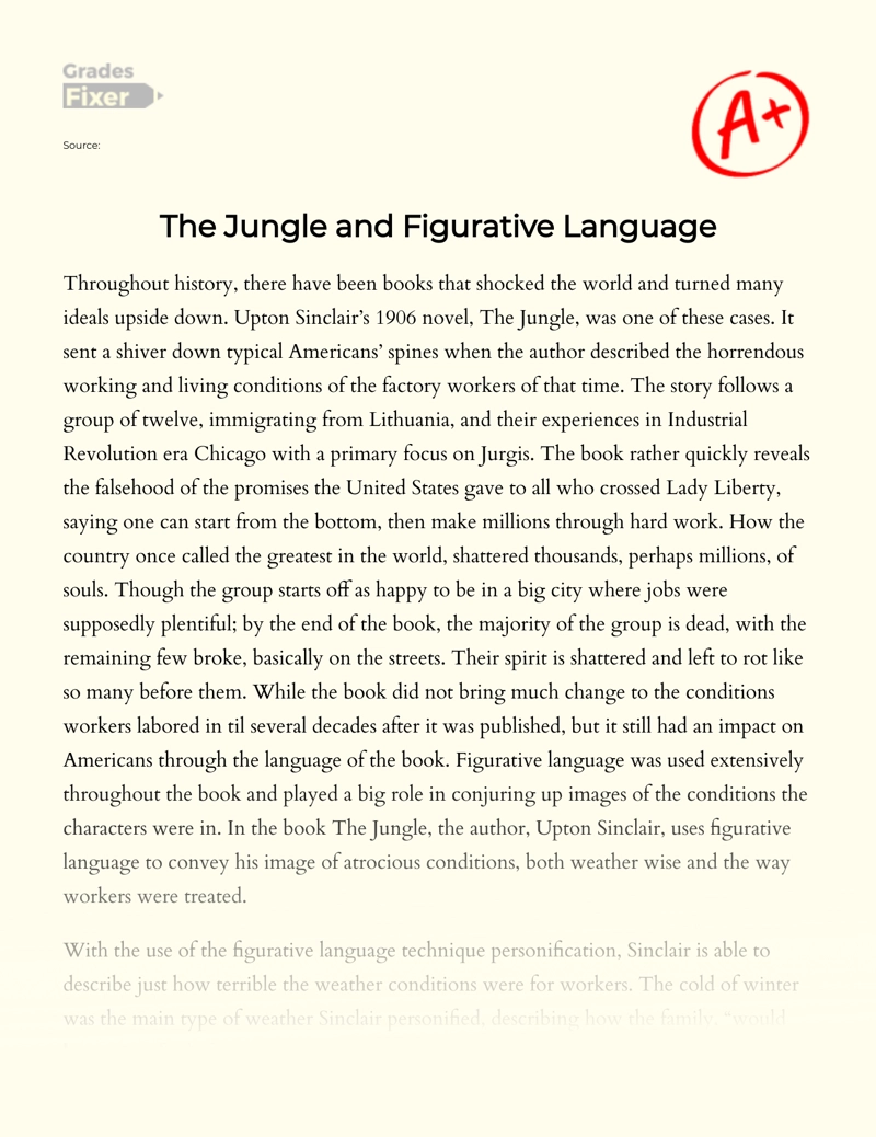 The Use of Figurative Language in The Jungle essay