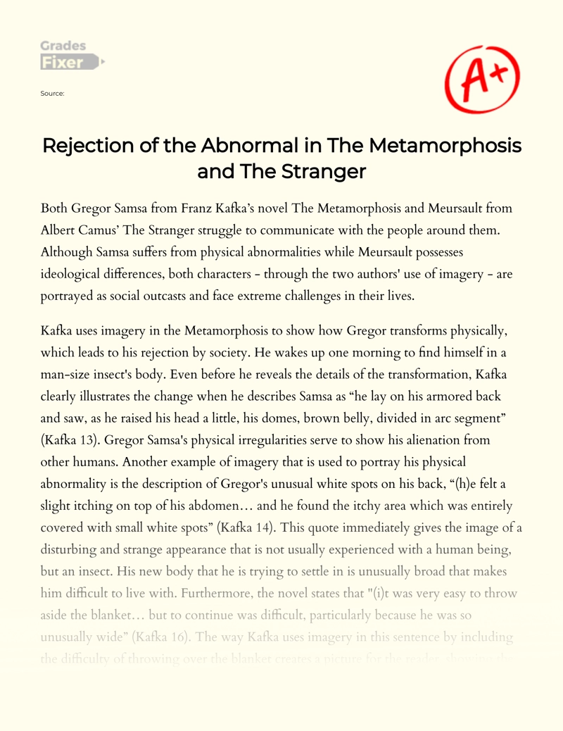 Saying No to The Weird in The Stranger and The Metamorphosis essay