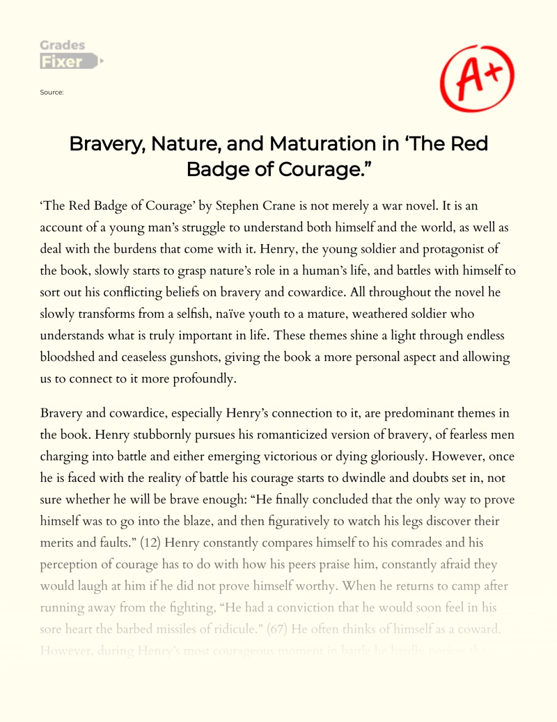 Bravery, Maturity and Nature as Depicted in The Red Badge of Courage Essay