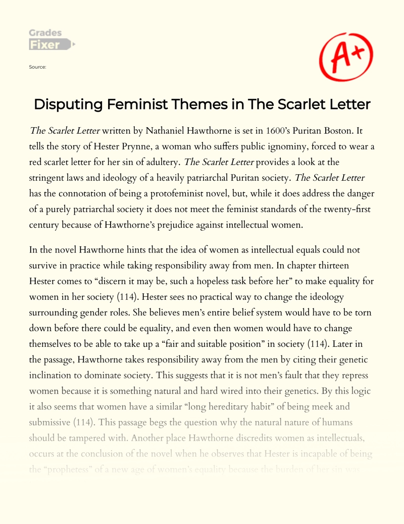 A Critique of Themes on Feminism in The Scarlet Letter essay