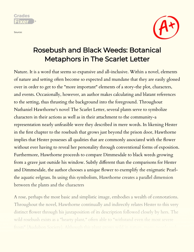 The Use of Black Weeds and Rosebush to  Bring Out a Botanical Metaphor in The Scarlet Letter Essay