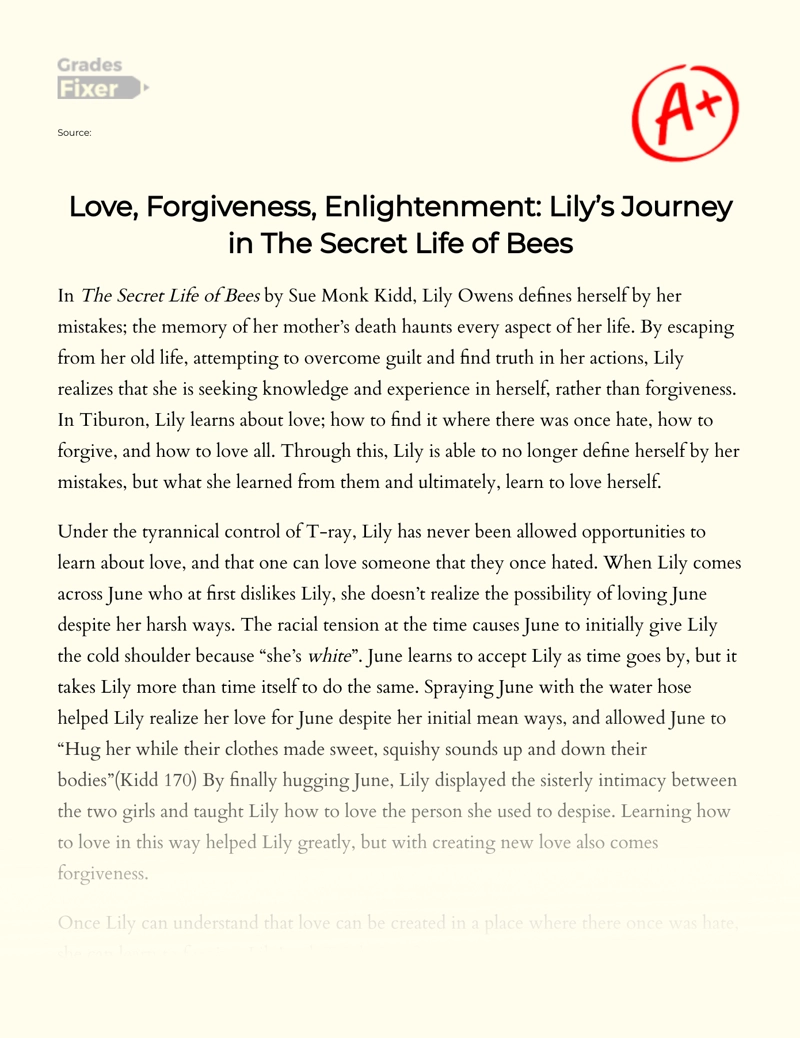 Lily's Journey of Love, Awareness, and Remission in The Secret Life of Bees Essay