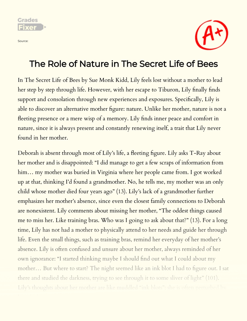 Nature's Place in The Secret Life of Bees' Essay