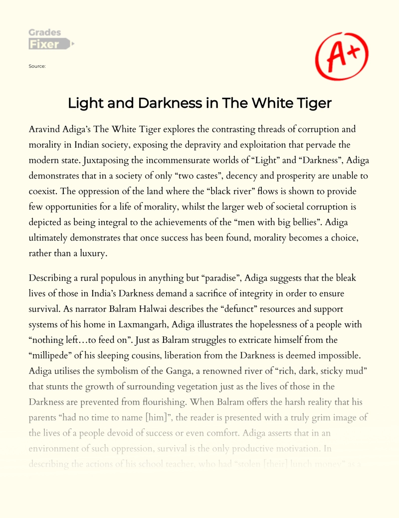 An Analysis of Morality and Corruption in "The White Tiger" Essay