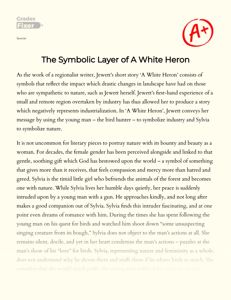 The Symbolic Layer of a White Heron Essay